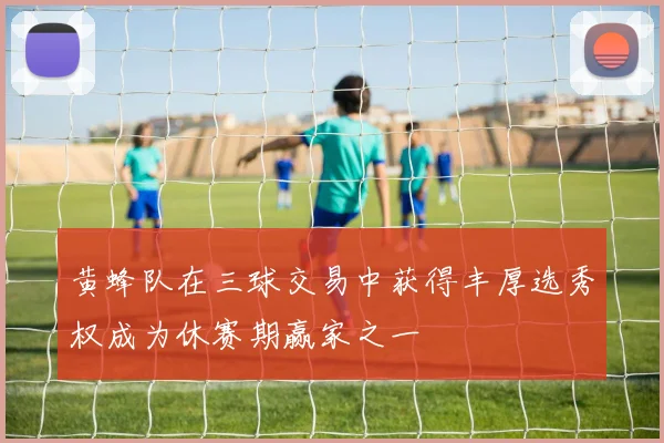 黄蜂队在三球交易中获得丰厚选秀权成为休赛期赢家之一
