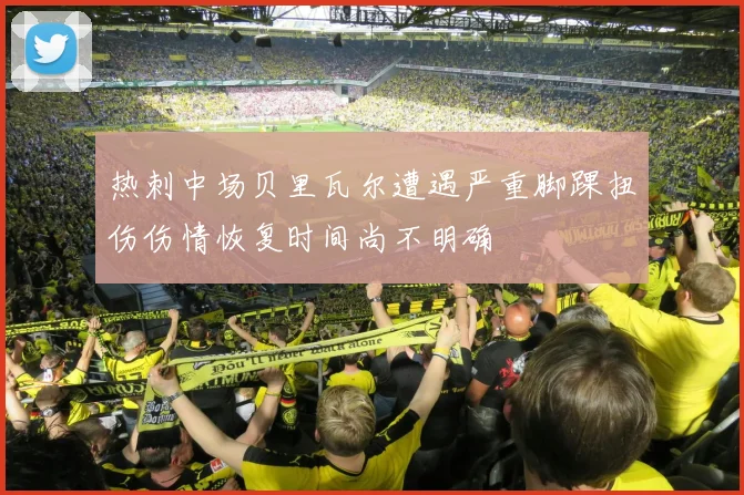热刺中场贝里瓦尔遭遇严重脚踝扭伤伤情恢复时间尚不明确