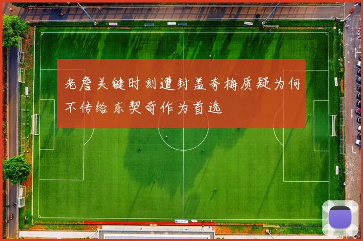 老詹关键时刻遭封盖夸梅质疑为何不传给东契奇作为首选